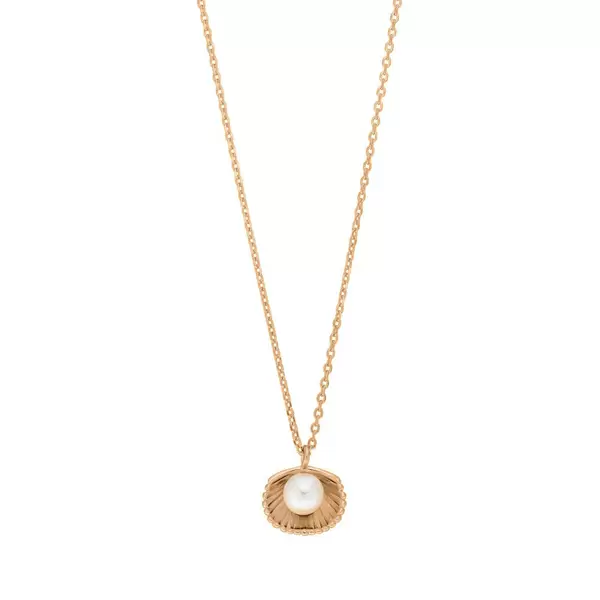 Leaf Jewelry Halskette Muschel mit Perle, 18 K Rosegold vergoldet Riesige Rabatte