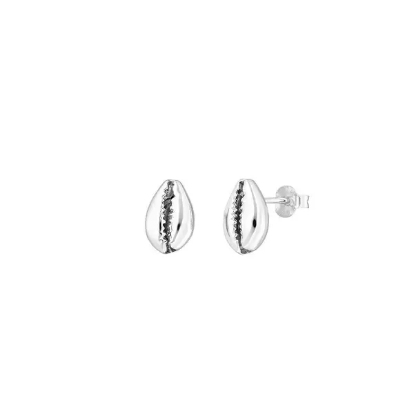 Leaf Jewelry Ohrstecker Cowrie Shell, 925 Sterlingsilber Exklusive Angebote