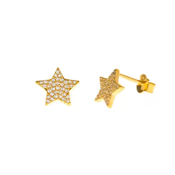 Leaf Jewelry Ohrstecker Stern mit Zirkonia, 18 K Gelbgold vergoldet Vatertagsangebot