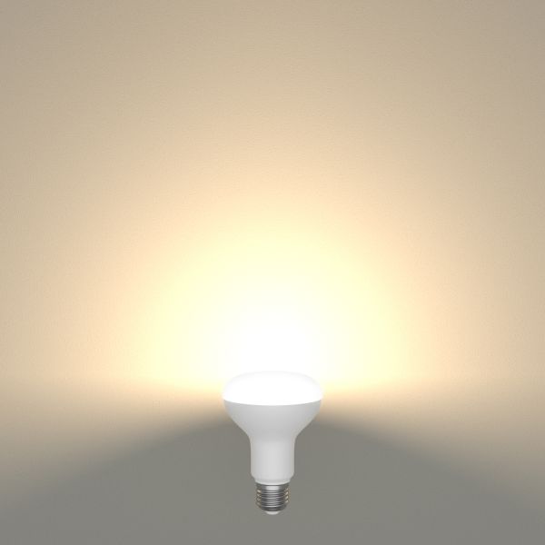 E27 LED Leuchtmittel, R80, 10 W, matt (Lichtfarbe wählbar) Sonderangebote