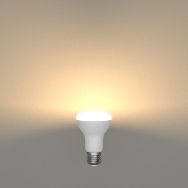 E27 LED Leuchtmittel, R63, warmweiß (2700 K), 8 W, 750lm, matt zollfrei