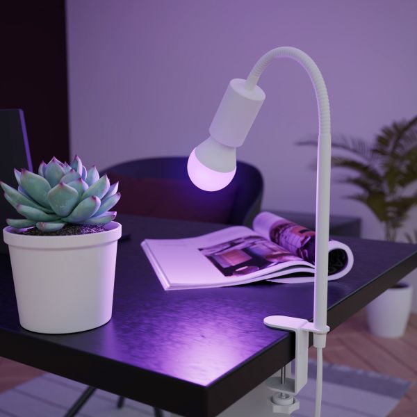 E27 LED RGB Leuchtmittel, A60, warmweiß - kaltweiß (3000 - 6500 K), 9,4 W, 892lm, Smart Home, WLAN, Alexa, matt Günstiger Verkauf