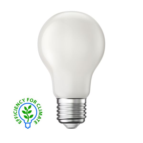 E27 LED Leuchtmittel, A60, Energieeffizienzklasse A, gefrostet (Lichtfarbe wählbar)
