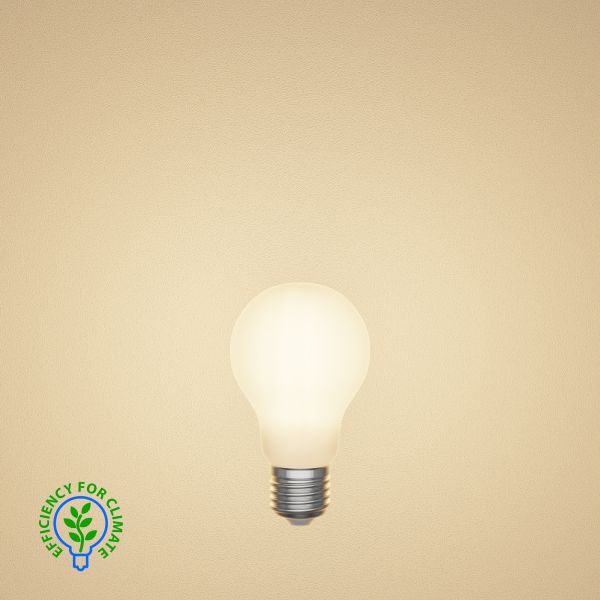 E27 LED Leuchtmittel, A60, Energieeffizienzklasse A, gefrostet (Lichtfarbe wählbar) Kostenloser Versand