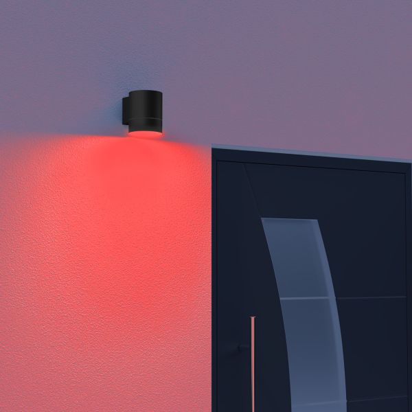 Smart Home Wandleuchte BIDO für außen, Aluminium Downlight + LED-Lampe Alexa, dimmbar, Farbtemperatur steuerbar (Farbe, Leuchtmittel wählbar) Fabrikpreis