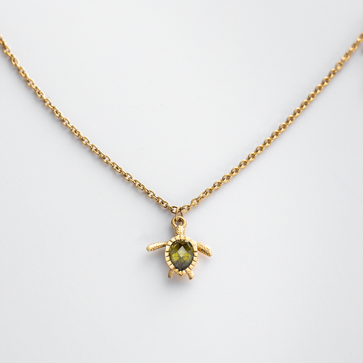 Paul Hewitt Turtle Mono Halskette Gold Sonderangebote