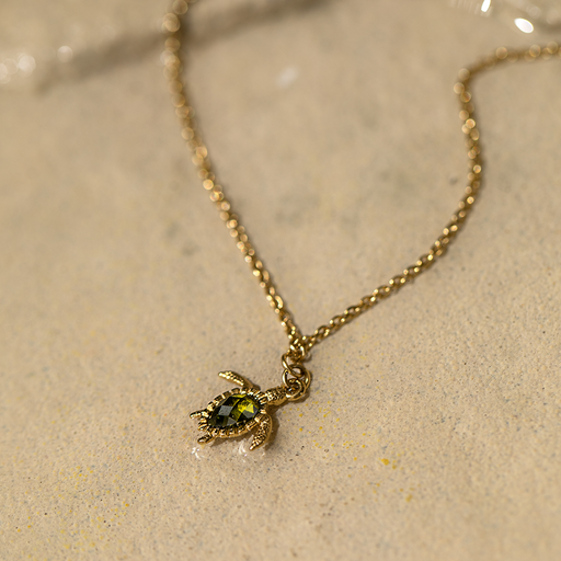 Paul Hewitt Turtle Mono Halskette Gold Sonderangebote