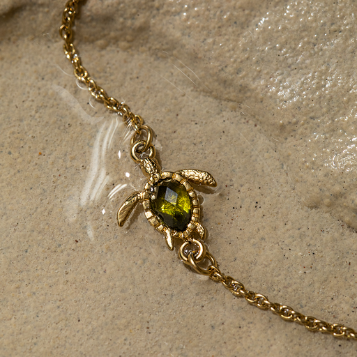 Paul Hewitt Turtle Mono Armkette Gold Tiefpreis