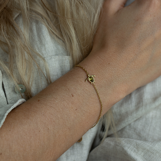 Paul Hewitt Turtle Mono Armkette Gold Tiefpreis