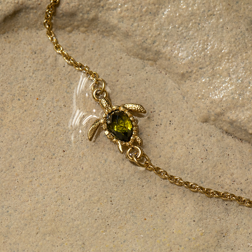 Paul Hewitt Turtle Mono Armkette Gold Tiefpreis