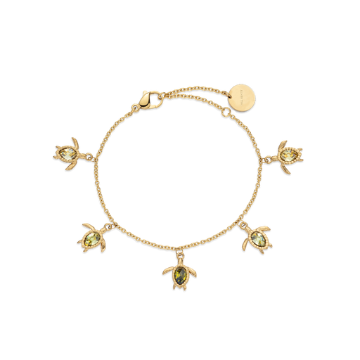 Paul Hewitt Turtle World Turtle Day Armkette Gold Letzte 2 Tage