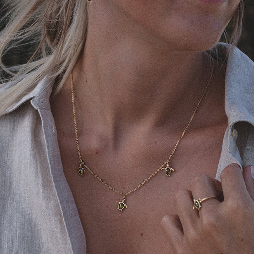 Paul Hewitt Set Turtle Gold Online