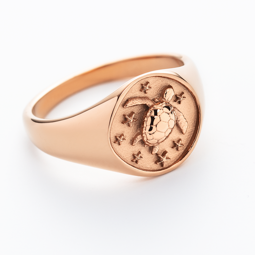 Paul Hewitt Turtle Signet Ring Roségold Exklusivangebot