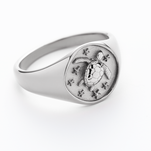 Paul Hewitt Turtle Signet Ring Silber Preisnachlass
