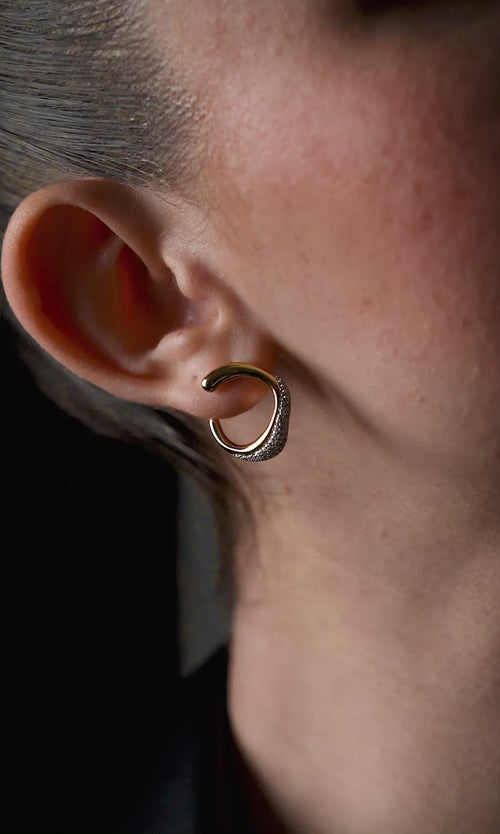 Paul Valentine Crystal Galaxy Ear Studs zollfrei