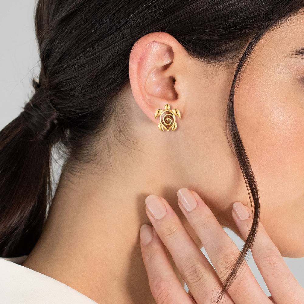 Rafaela Donata Ohrstecker Sterling Silber gelbgold Emaille braun Große Rabatte