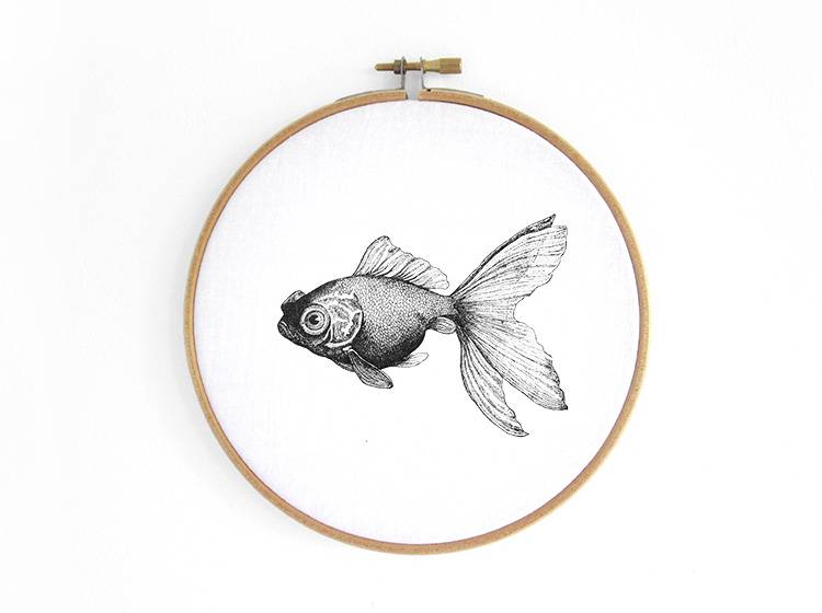 Renna Deluxe Goldfisch _ Bild im Stickrahmen