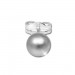 Silberdream SilberDream Ohrringe Kugel 5mm matt 925er Silber Ohrstecker SDO5545 Online