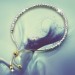 Silberdream SilberDream Armband Perlen diamantiert 925er Sterling Silber Damen SDA7004T Clearance-Verkauf