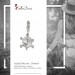 Silberdream SilberDream 925 Charm Schildkröte Armband Anhänger FC1001 Online Outlet