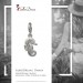 Silberdream SilberDream Charm Seepferdchen 925er Silber Armband Anhänger FC727I Begrenzt auf 3 Tage