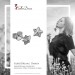 Silberdream SilberDream Ohrstecker Niete Stern 925 Sterling Silber Ohrring SDO8209J Bestseller