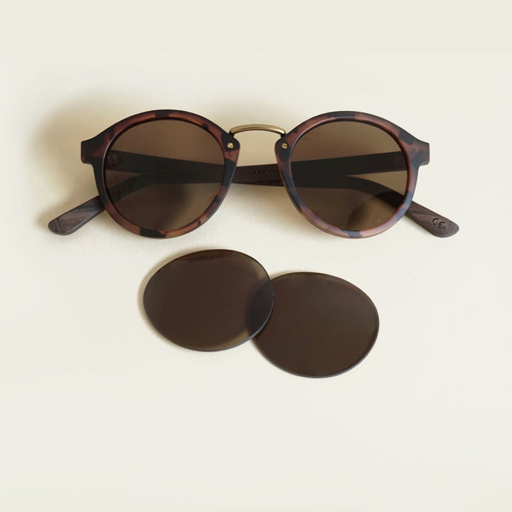 Take A Shot Ersatzgläser-Set für unsere Feronia 2.0 Sonnenbrille - Braun getönt